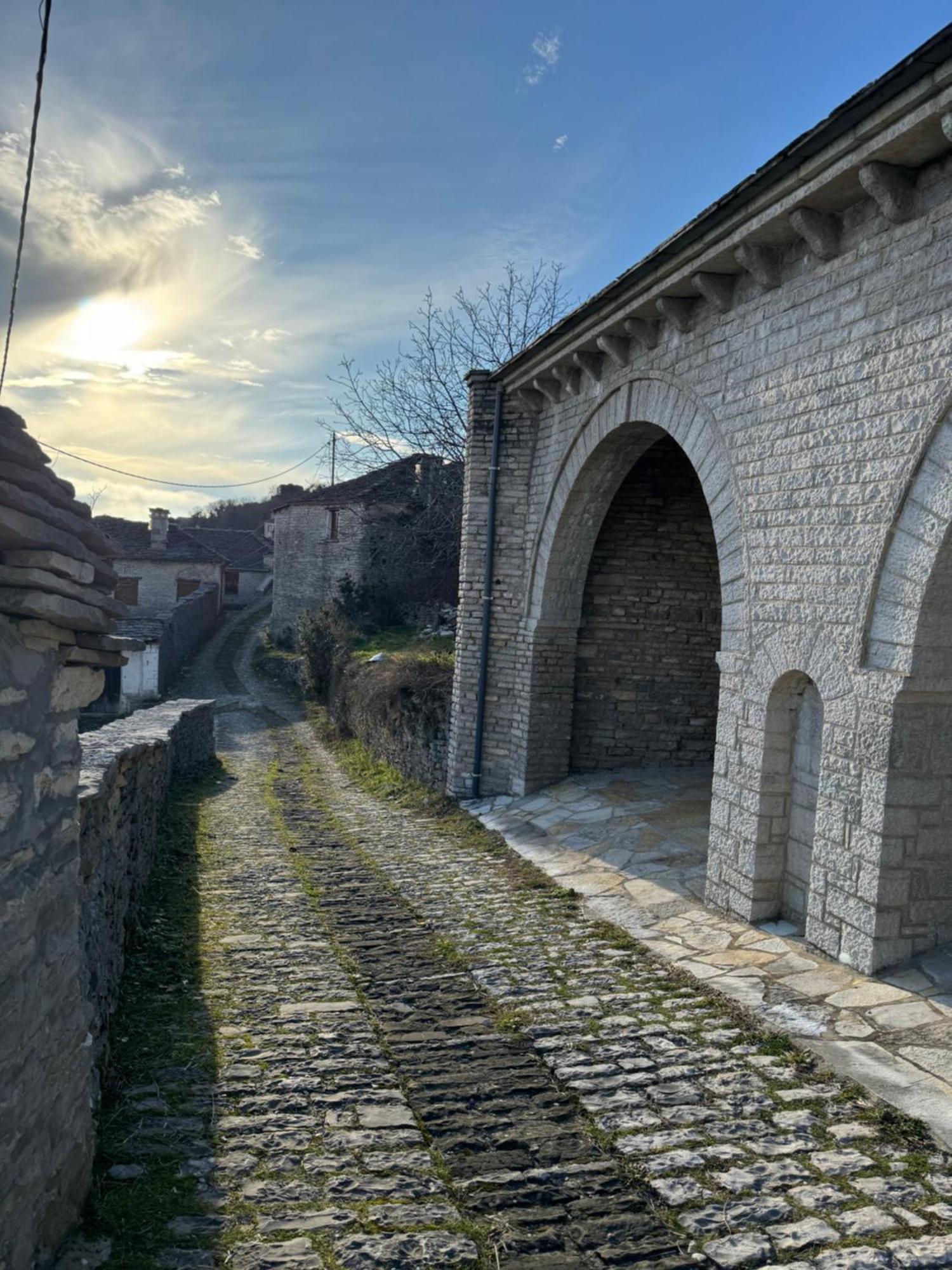 Βίτσα Πετρόκτιστο Αρχοντικό "Ιόλη" Με Θέα Ζαγόρι Villa Dış mekan fotoğraf