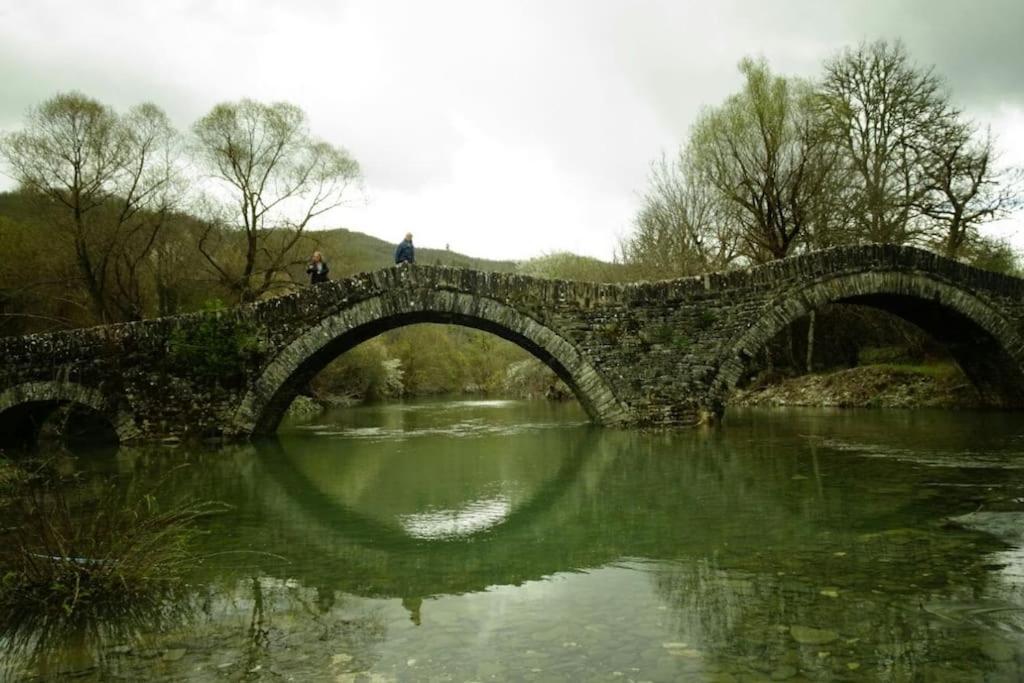 Βίτσα Πετρόκτιστο Αρχοντικό "Ιόλη" Με Θέα Ζαγόρι Villa Dış mekan fotoğraf