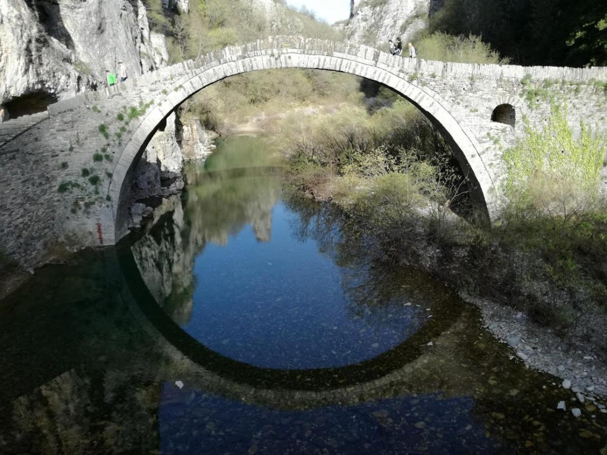 Βίτσα Πετρόκτιστο Αρχοντικό "Ιόλη" Με Θέα Ζαγόρι Villa Dış mekan fotoğraf